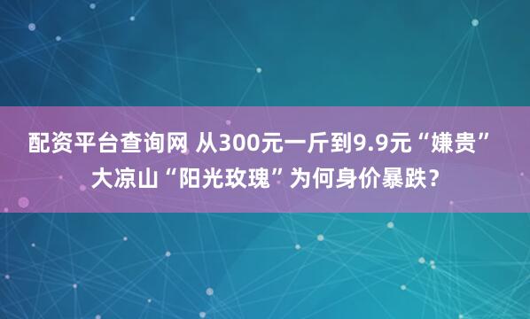 配资平台查询网 从300元一斤到9.9元“嫌贵” 大凉山“阳光玫瑰”为何身价暴跌？