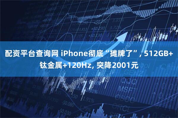 配资平台查询网 iPhone彻底“摊牌了”, 512GB+钛金属+120Hz, 突降2001元