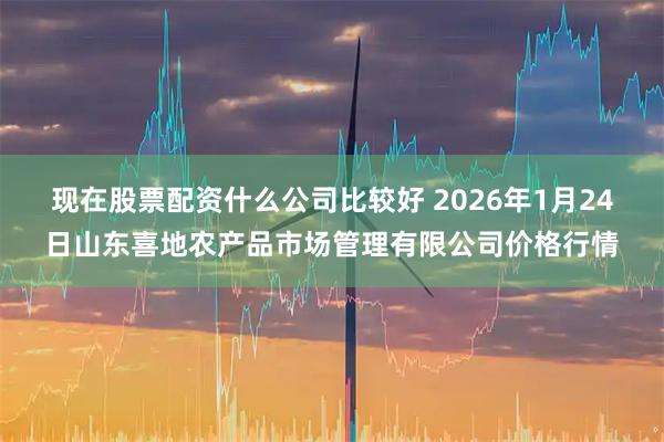 现在股票配资什么公司比较好 2026年1月24日山东喜地农产品市场管理有限公司价格行情